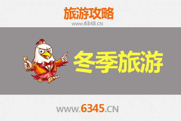 嘉义冬季旅游全攻略：暖阳、美食与森林奇遇